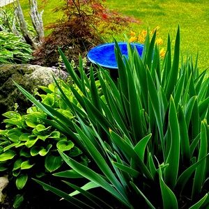 Meet your Posher, Karen